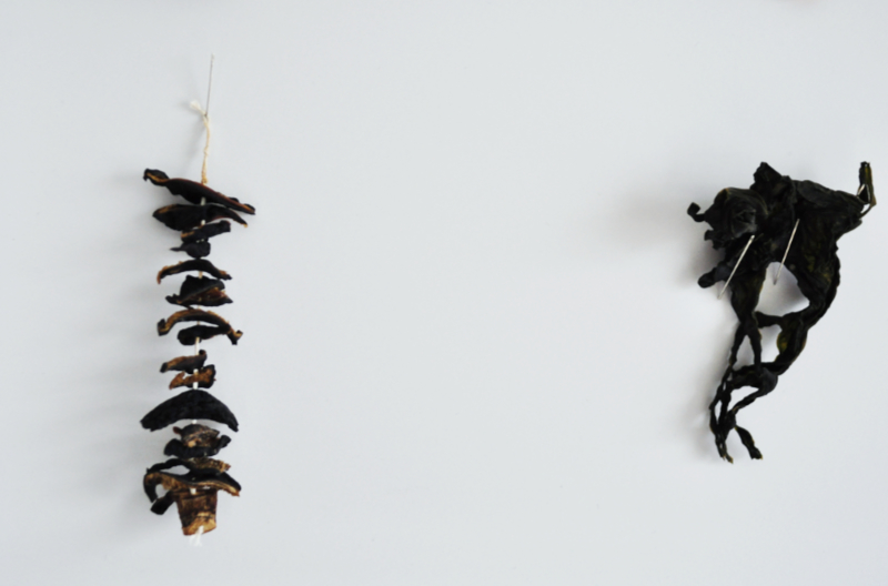closeup of dried portobello mushrooms and seaweed