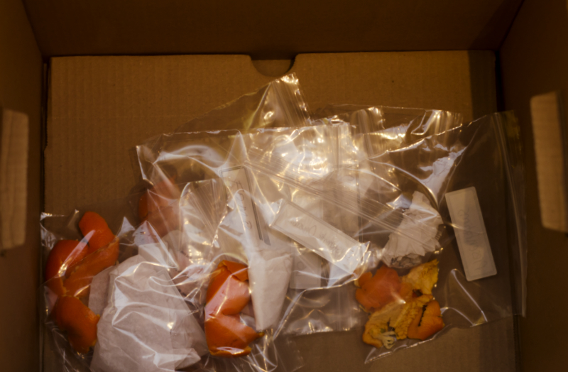 looking down into a cardboard box at several ziplock bags, each containing a tangerine peel