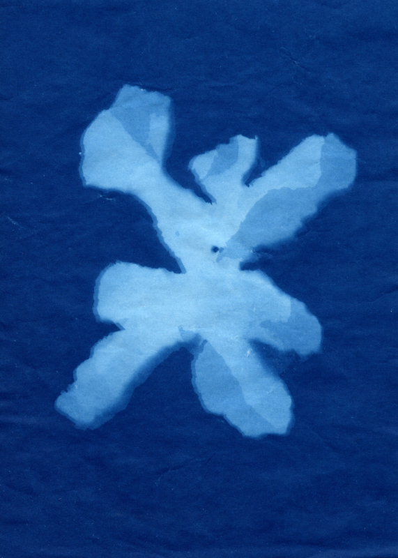 blue coloured print of a silhouette of tangerine skins