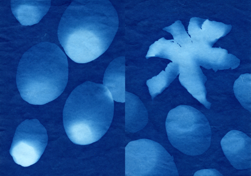 blue coloured print of a silhouette of tangerine skins