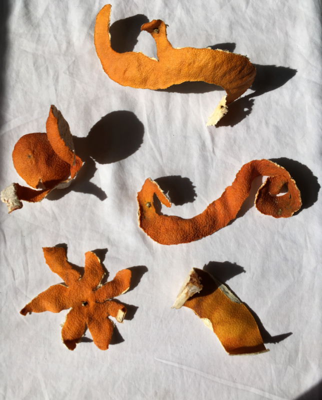 several different shapes of dried peeled tangerine skin lit in harsh sunlight