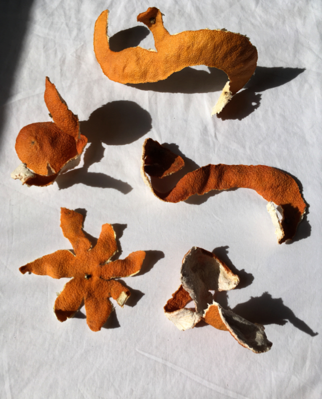 several different shapes of dried peeled tangerine skin lit in harsh sunlight